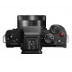 PANASONIC LUMIX DC-G100 + 12-32MM F/3.5-5.6 + 35-100MM F/4-5.6 ASPH MEGA OIS