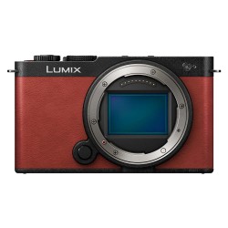 PANASONIC LUMIX DC-S9