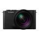 PANASONIC LUMIX DC-S9