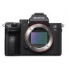 SONY ALPHA 7III BOITIER NU