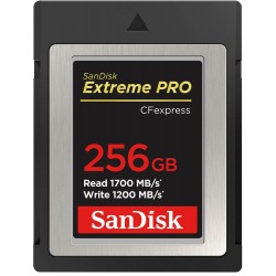 SANDISK CF EXPRESS 256GO 1500MB/S